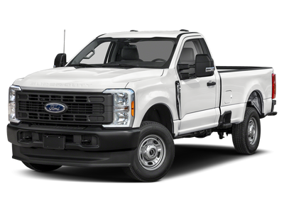 2024 Ford F-250 XL Chrom Pakage-Platform Running Board's