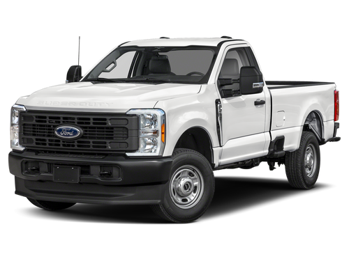 2024 Ford F-250 XL Chrom Pakage-Platform Running Board's