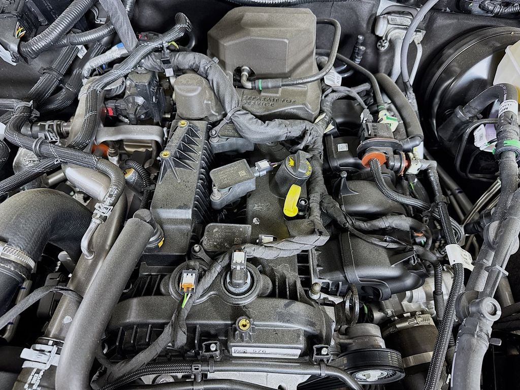 2024 Ford Bronco SoFlo Stallion Edition SoFlo Stallion Edition