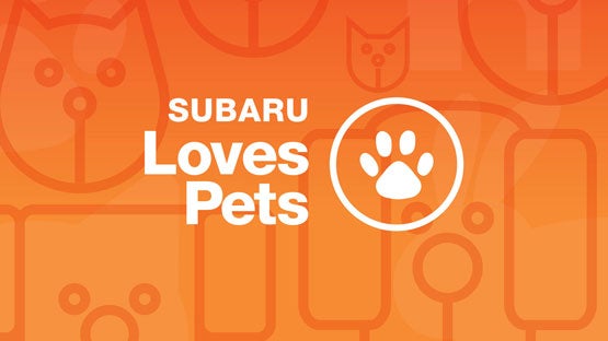 Dulles Motorcars Subaru in Leesburg VA