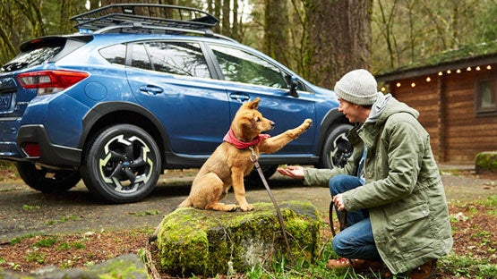 Dulles Motorcars Subaru in Leesburg VA