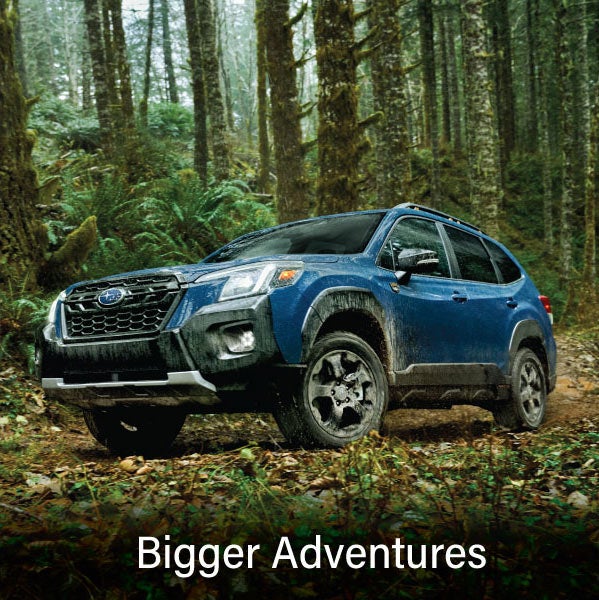 A blue Subaru outback wilderness with the words &ldquo;Bigger Adventures&ldquo;. | Dulles Motorcars Subaru in Leesburg VA