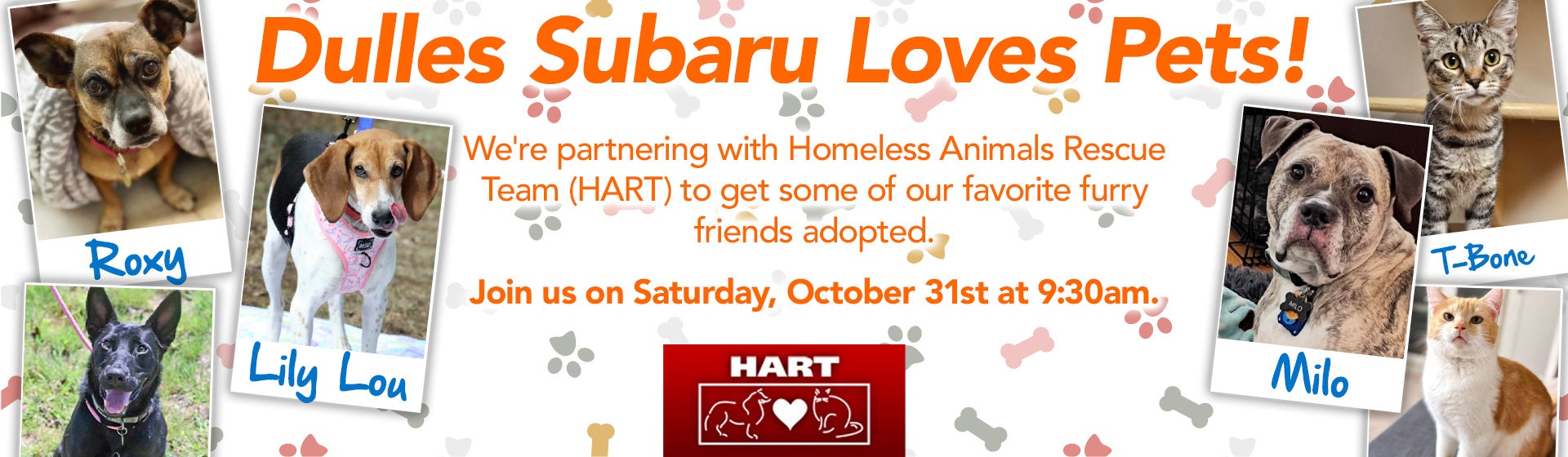 Subaru Loves Pets