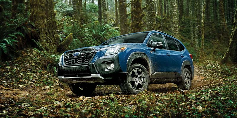 Dulles Motorcars Subaru in Leesburg VA